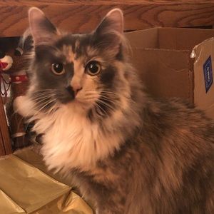 Meet your Posher, Ethan